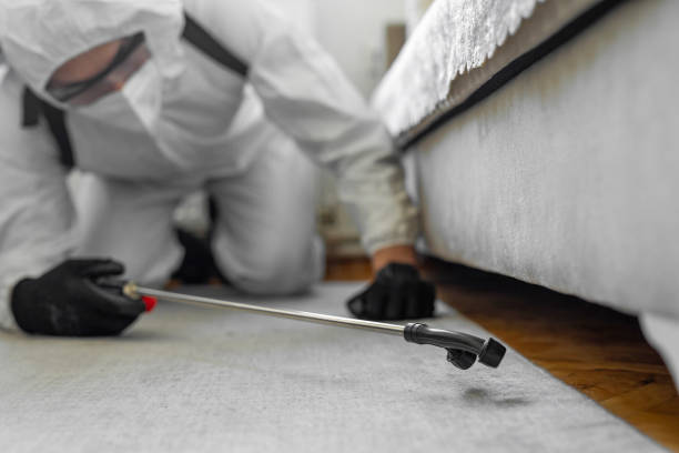 Professional Bed Bug Control technician working in Scarsdale, NY