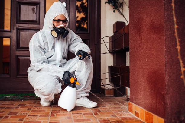 Reliable Bed Bug Control contractor in Scarsdale, NY by Nex Pest Control