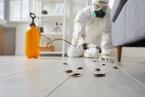 Trusted Termite Control service in Scarsdale, NY - Nex Pest Control